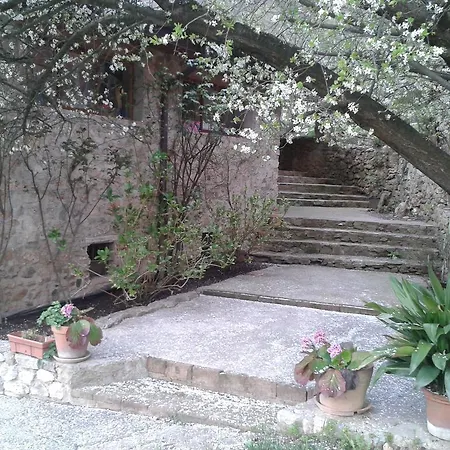 Al Pojat