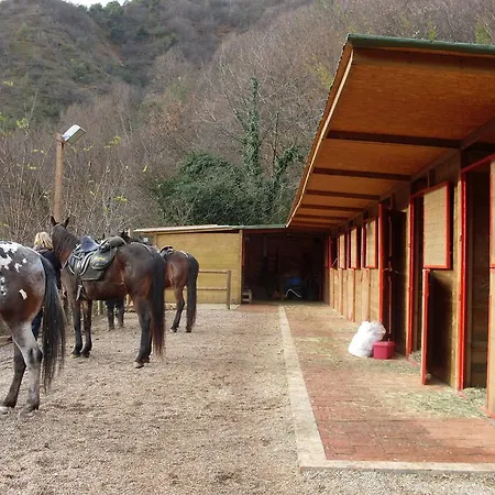 Bed and breakfast Al Pojat
